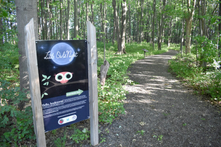 Time to hit the trail